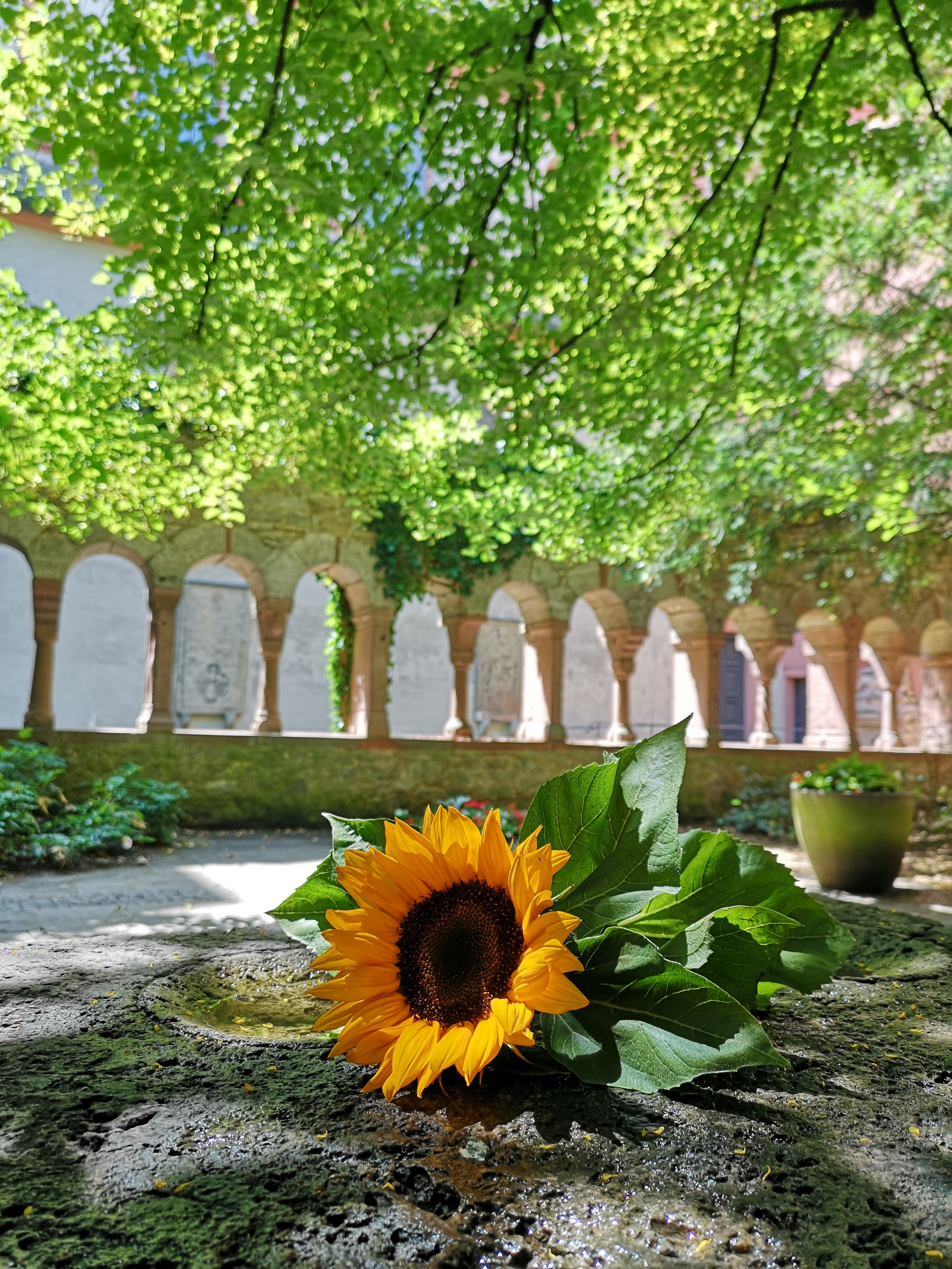 Ort des Ewigen Friedens - der Würzburger Hauptfriedhof