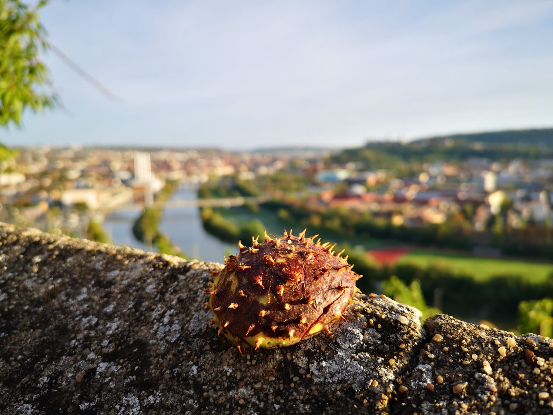 Reiseführer in Würzburg